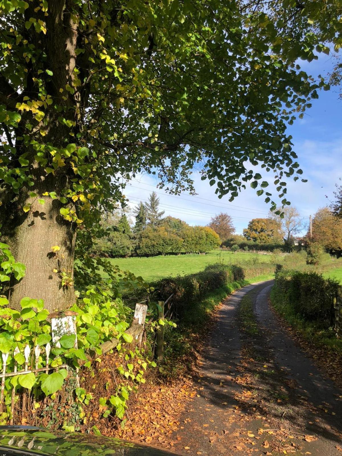 The Cottage Abergavenny Exteriör bild