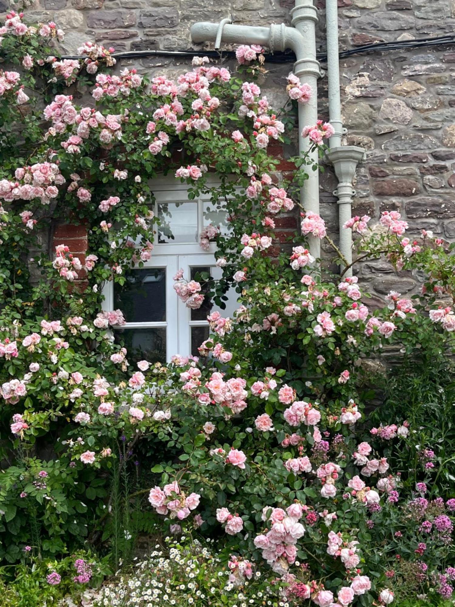 The Cottage Abergavenny Exteriör bild